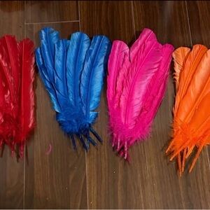 Colorful Feather Set